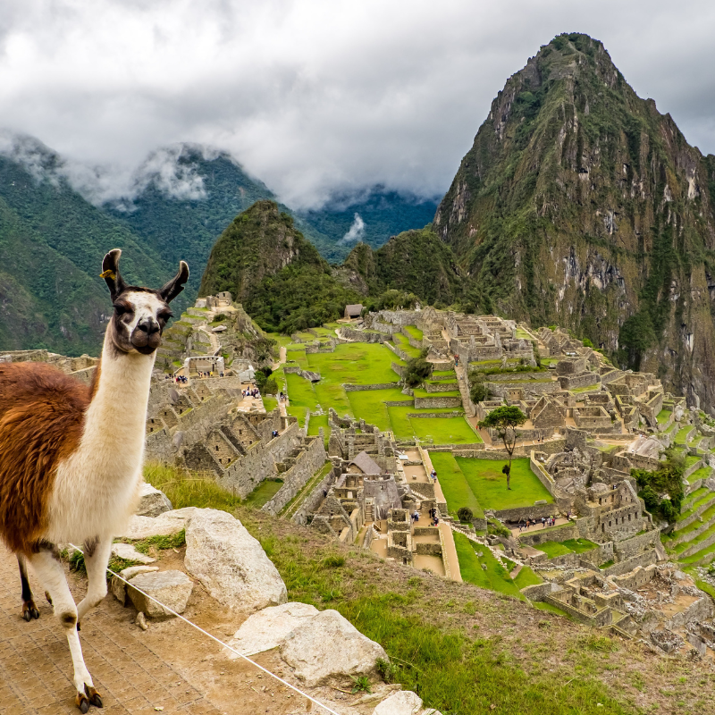 Machu Picchu: Uma Jornada pela História Inca