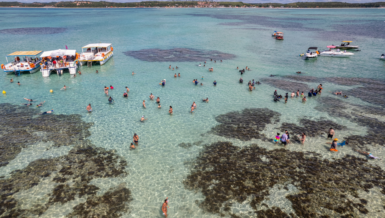 Maragogi: O Caribe Brasileiro